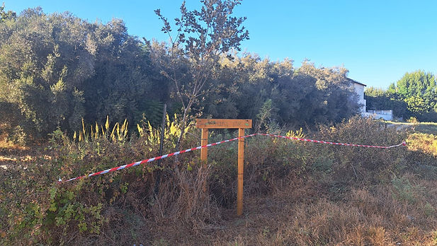 WhatsApp Image 2026-01-01 at 10.56.50 (1).jpeg