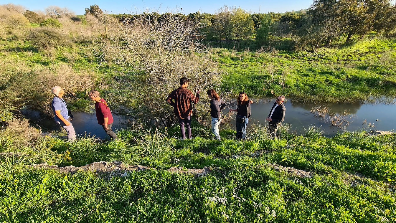 WhatsApp Image 2026-01-01 at 10.20.19.jpeg