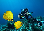 Underwater Photography