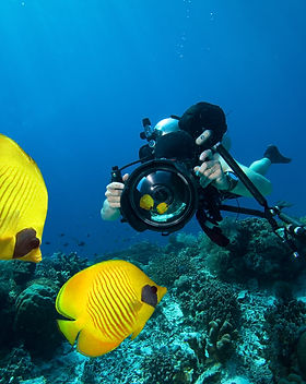 Underwater Photography