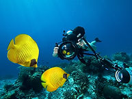Underwater Photography