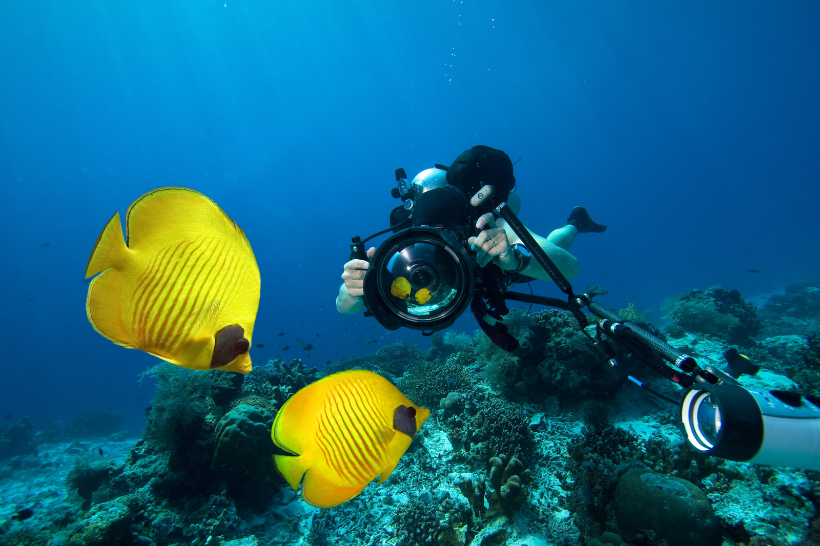 Underwater Photography