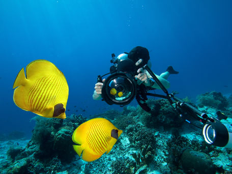 Monday Blues: Make it beautiful