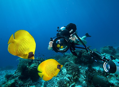 Underwater Photography