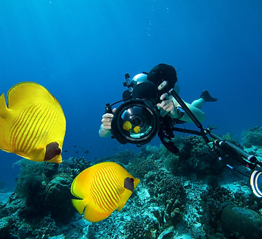 Underwater Photography