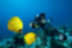 Underwater Photography