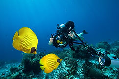 Underwater Photography