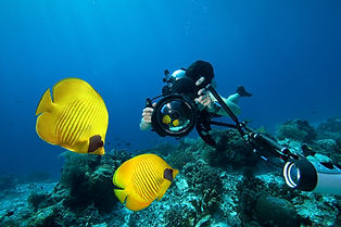 Underwater Photography