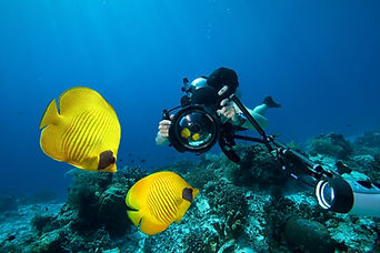 Underwater Photography