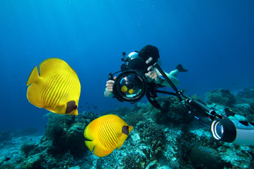 Underwater Photography