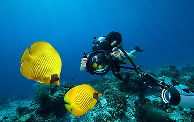Underwater Diver Scene