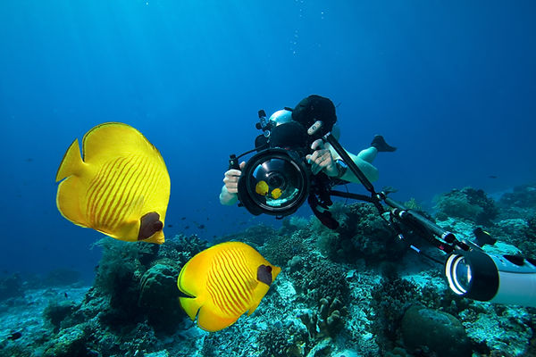 Underwater Photography