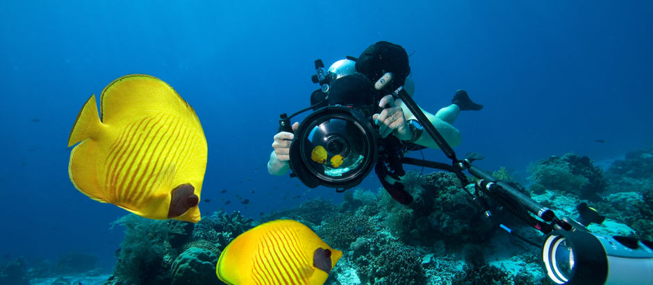 Design a Stunning Blog