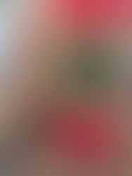 I’ll give you a real reason to boycott while I sit here sipping from a red cup.