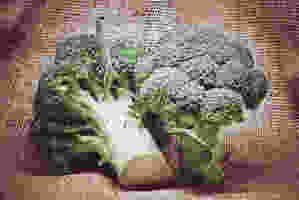 Brokkoli