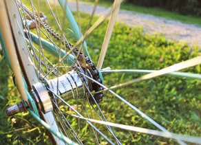 Nachhaltige Bikepflege - so reinigst und pflegst du dein Rad