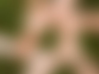 Nominierung von move4sustainability bei den Aktionstagen Nachhaltigkeit 