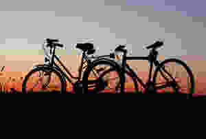 Bike Sunset