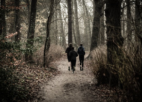 One tree at a time - Der Wiener Treeathlon