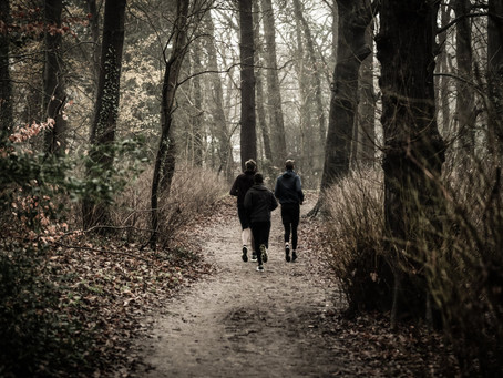 One tree at a time - Der Wiener Treeathlon