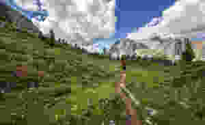 Hiking Berg