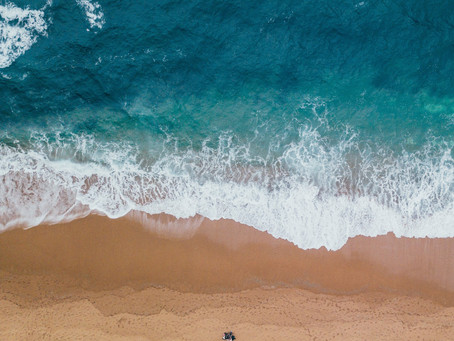 Ocean Collection: Was alte Fischernetze und Sportklamotten miteinander zu tun haben