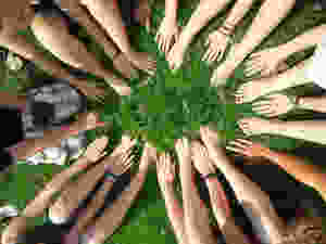 Hände Gras