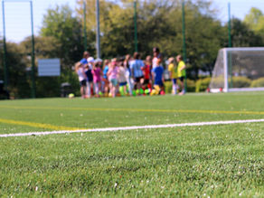 Umweltbildung mit und durch Fußball: Manual "Fußball und Umwelt im Doppelpass"