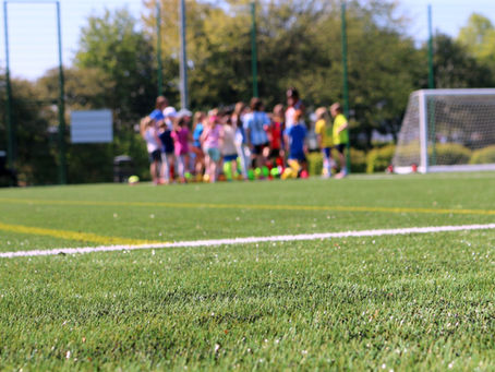 Umweltbildung mit und durch Fußball: Manual "Fußball und Umwelt im Doppelpass"