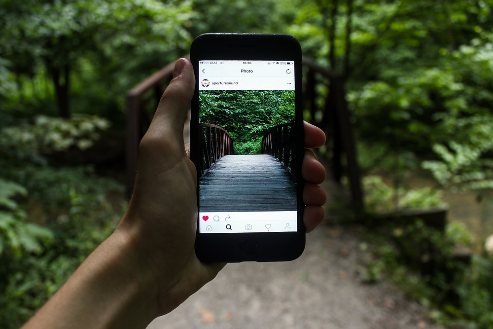 Smartphone Wald Foto