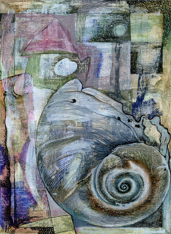 The Shell