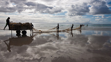 Freelancing in Fish Hoek