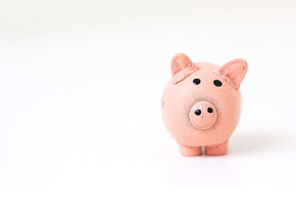 piggy bank