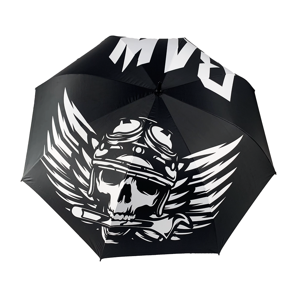 Skull on an Umbrella