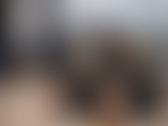 BAW Automotive & Superior Engineering - Partnering with Industry Leaders!