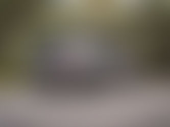 Should You Upgrade Your 4WD or Buy a New One?