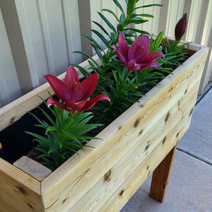 Small Standing Planter