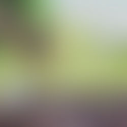 "Le conseil du mois" - Mars 2023