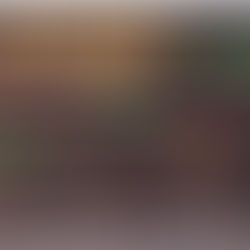 Incentivo financeiro extraordinário para apoio à normalização da atividade da empresa