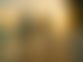 Romantic Photography in Zanzibar – Capturing Love in Paradise