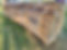 20231017_175829.jpg