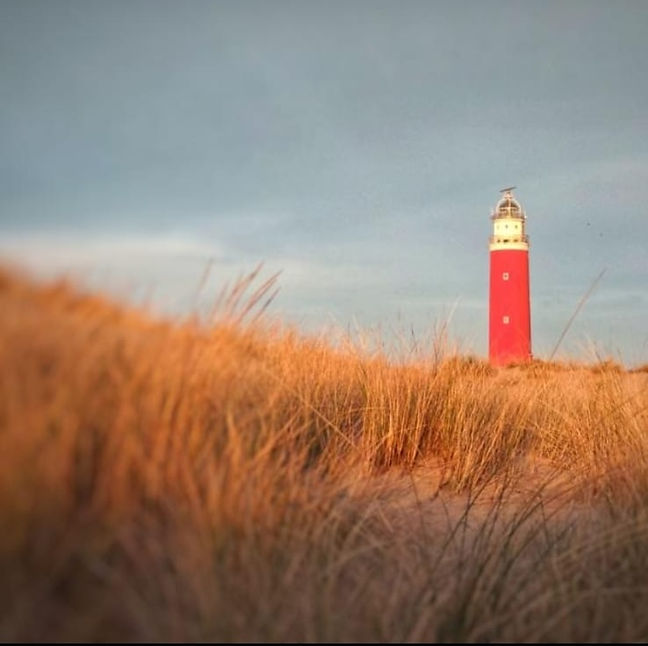 WhatsApp Image 2025-05-09 at 09.59.13.jpeg