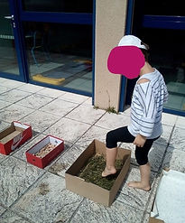 39294412_719045585104898_263101729388625