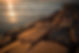 3199_2552.jpg