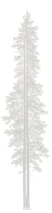 Three silhouette inspired by the Blue Ridge Mountains