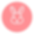 Website (2)