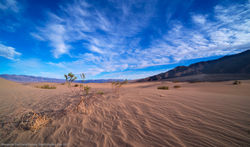 Mesquite Flats Sand Dunes
