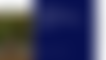 Primer: Net Working Capital in M&A Deals