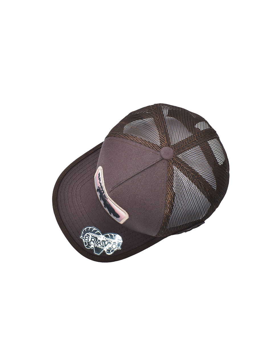 Thumbnail: Bison Brown