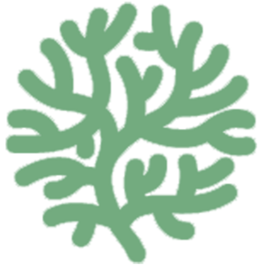 Jardinagem, manutenção de jardim